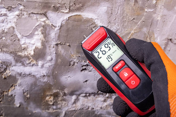 Best Best Mold Removal Companies  in Emeryville, CA