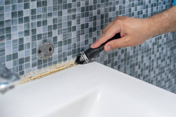 Best Same-Day Mold Removal  in Emeryville, CA