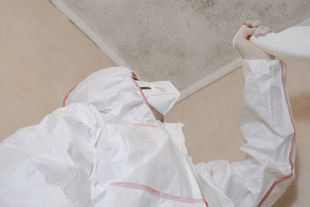 Best Professional Mold Removal  in Emeryville, CA